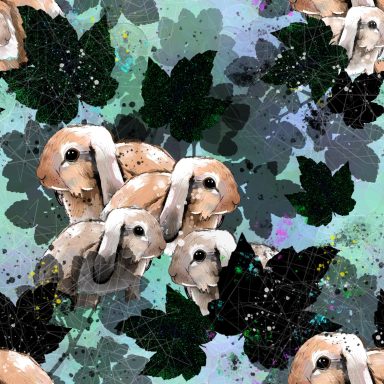 Bunnies
